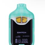 Boutiq V4 Pina Colada x Blueberry