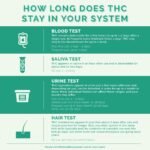 What Is THCA? Effects, Legality & How Boutiq Switch Uses It (2026) how long