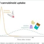 What Is THCA? Effects, Legality & How Boutiq Switch Uses It (2026) how long does thca stay in your system