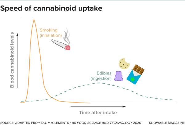 how long does thca stay in your system