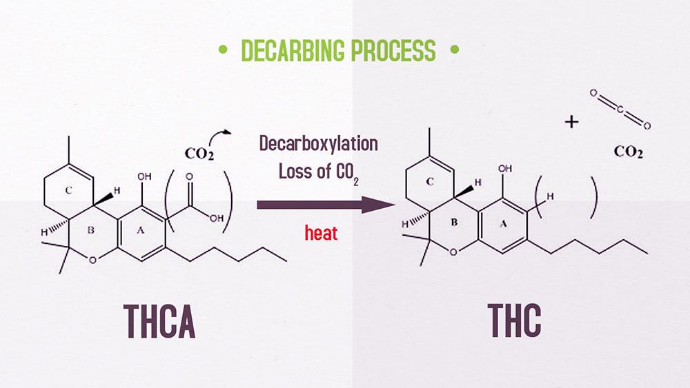 THCA vs THC