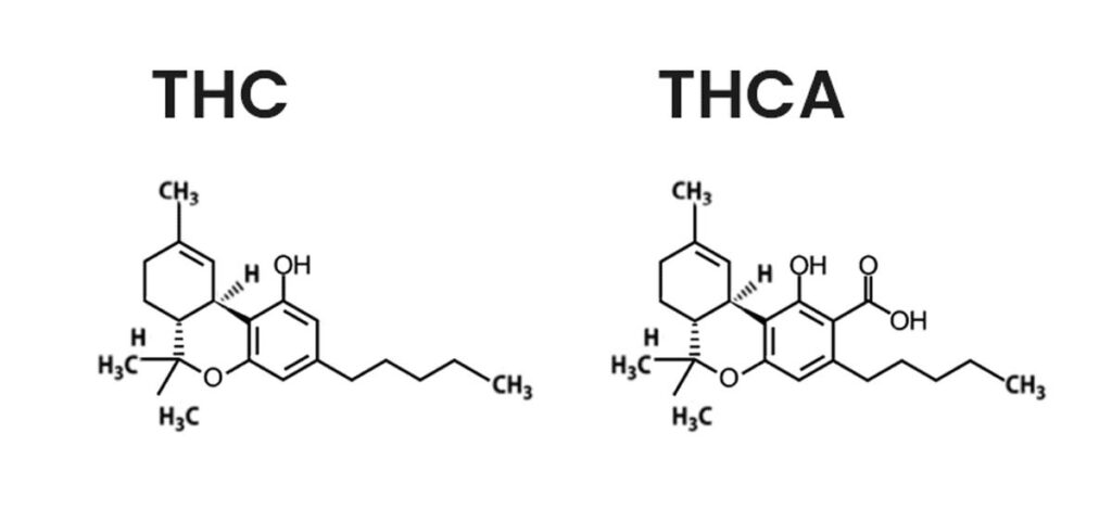 what is thca